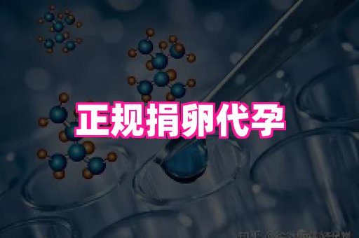 海口助孕网站 1