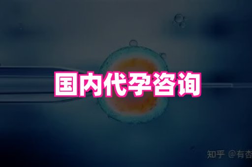 海口助孕网站 3
