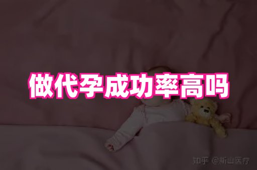 海口助孕网站 4